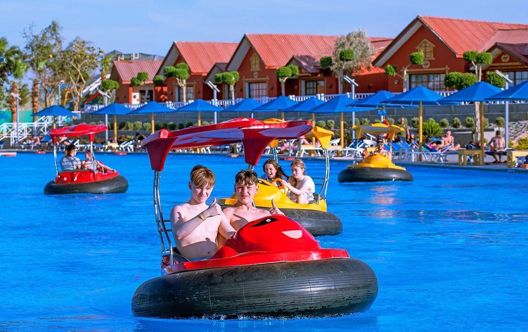 Albatros Alf Leila Wa Leila By Neverland