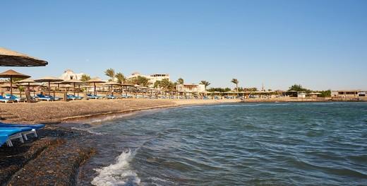 Sea Star Beau Rivage