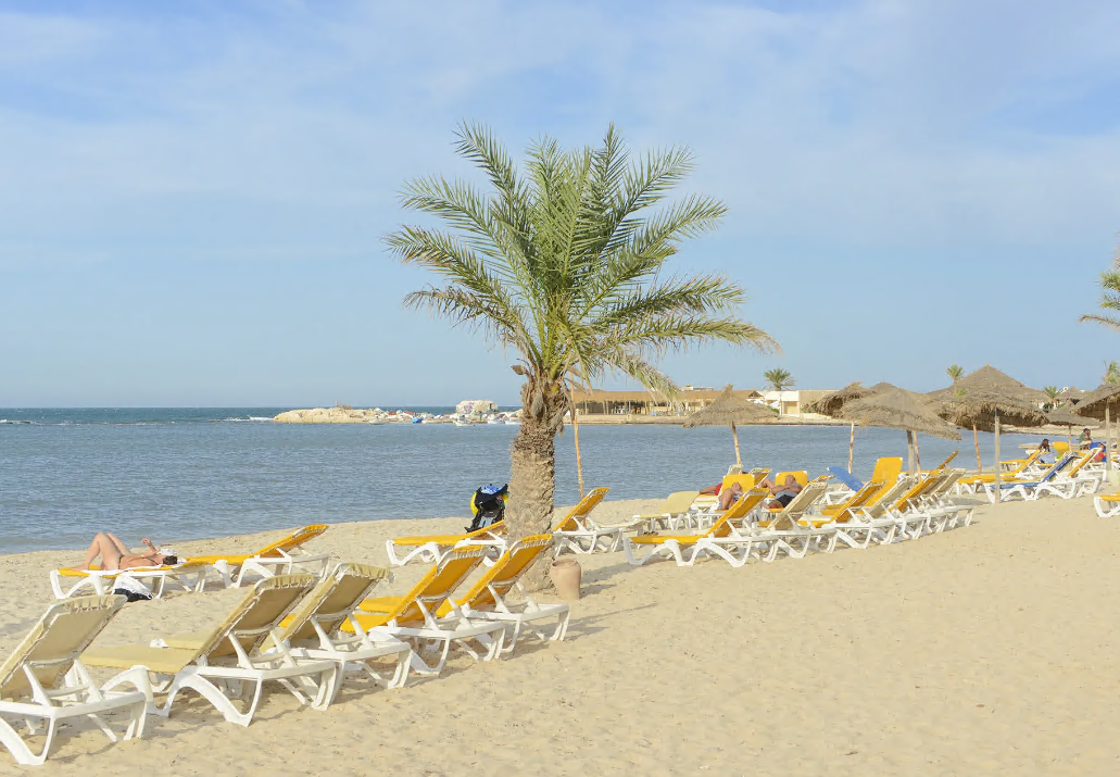 Monarque Dar Jerba Zahra