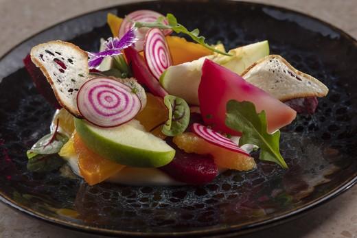 Andaz Dubai The Palm – concept by Hyatt