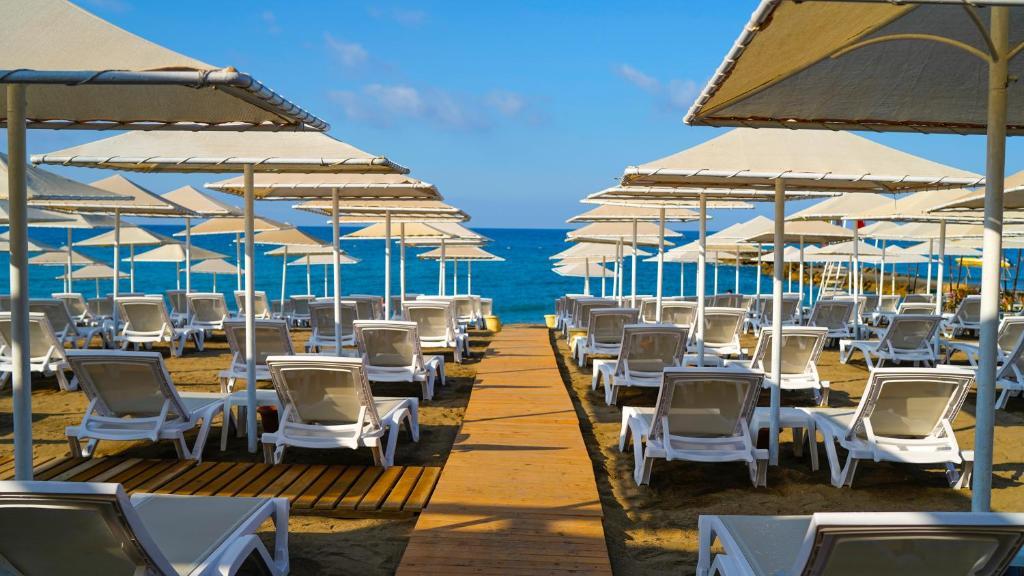 Aydinbey Gold Dreams