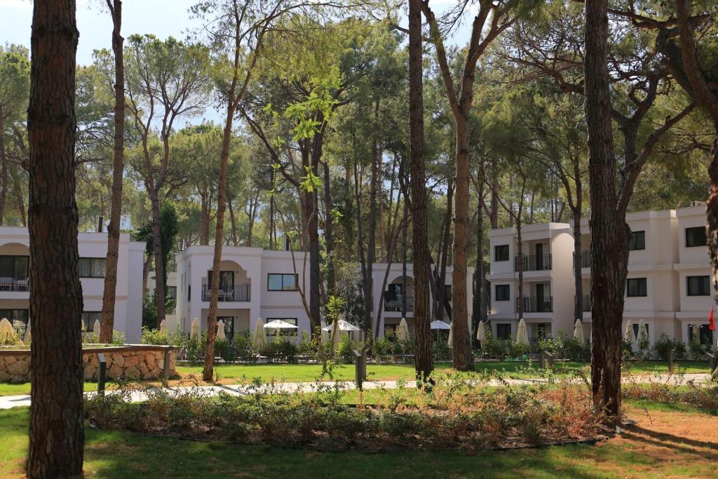 Aydinbey Siu Collection