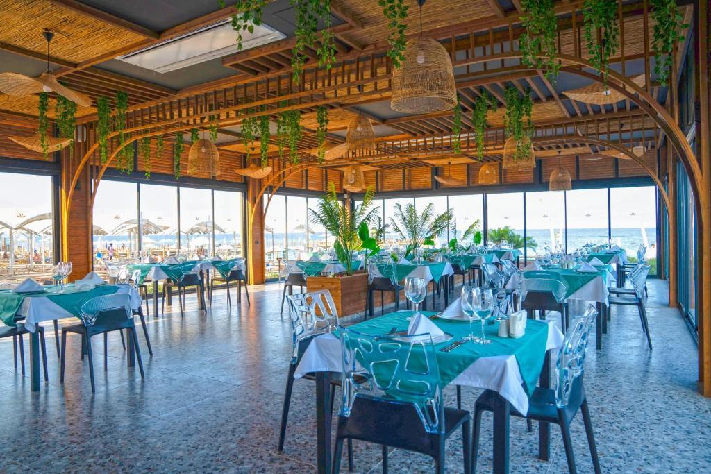 Aydinbey Siu Collection