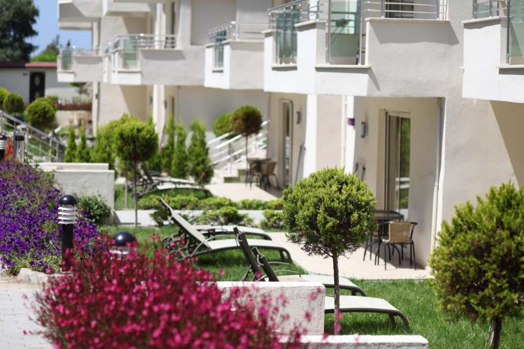 Dream World Family Club