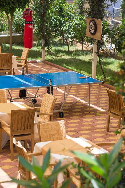 Lonicera City Kleopatra