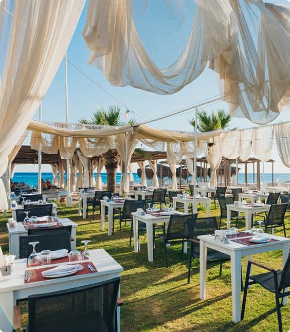 Asteria Bloom Side (ex: Selectum for Two Side)