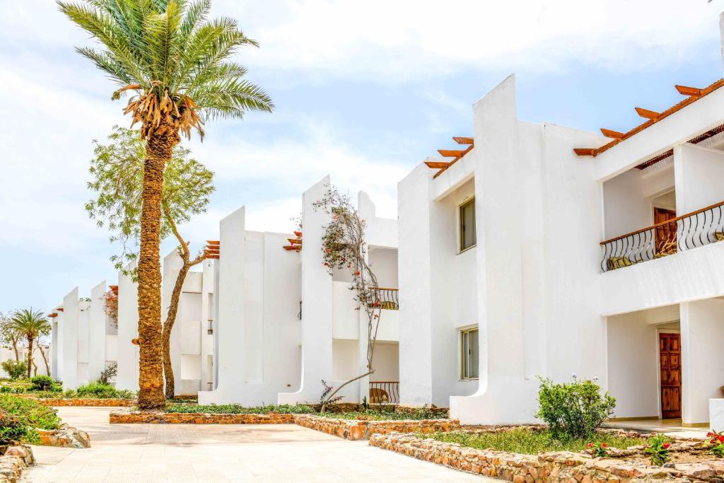 Menaville Safaga (naša procena 4*lux)